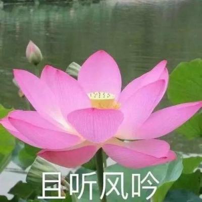 王沪宁主持召开全国政协主席会议